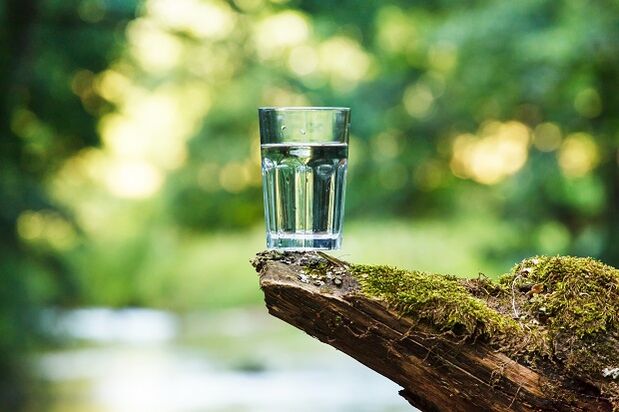 الماء الذائب هو أفضل خيار لنظام غذائي قائم على الماء